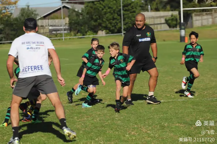 新西兰队运气欠佳，团队合作受挑战的简单介绍