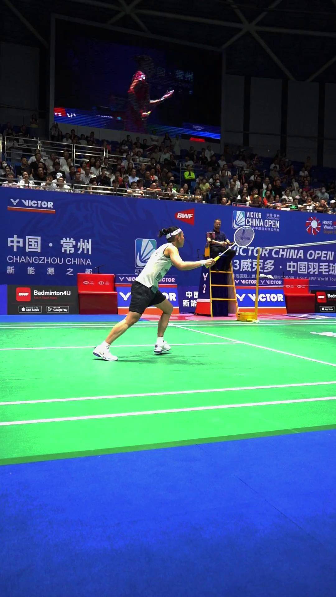 马来西亚羽毛球队横扫日本羽毛球队，戴资颖送出助攻的简单介绍