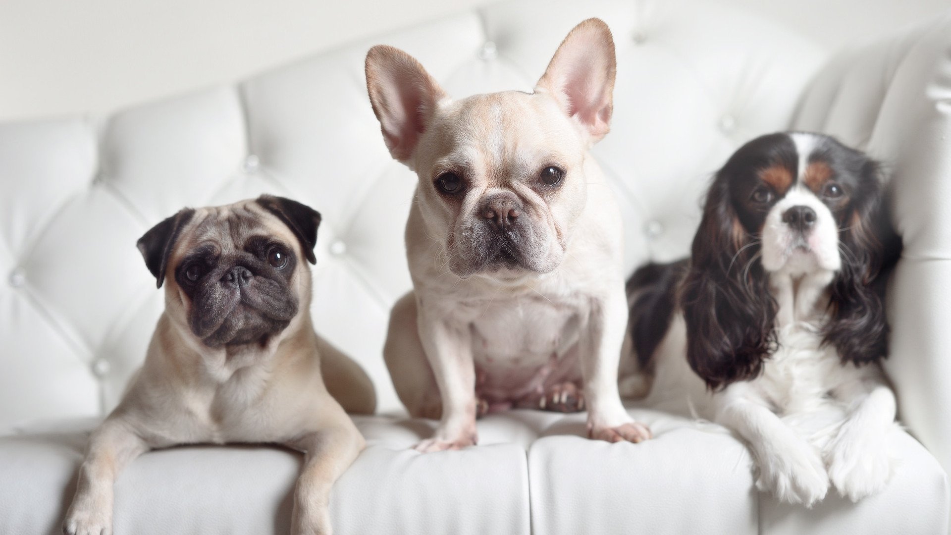 中场艺术家与红土绞肉机，若日尼奥如何将一场粗粝对决谱写成个人统治诗篇