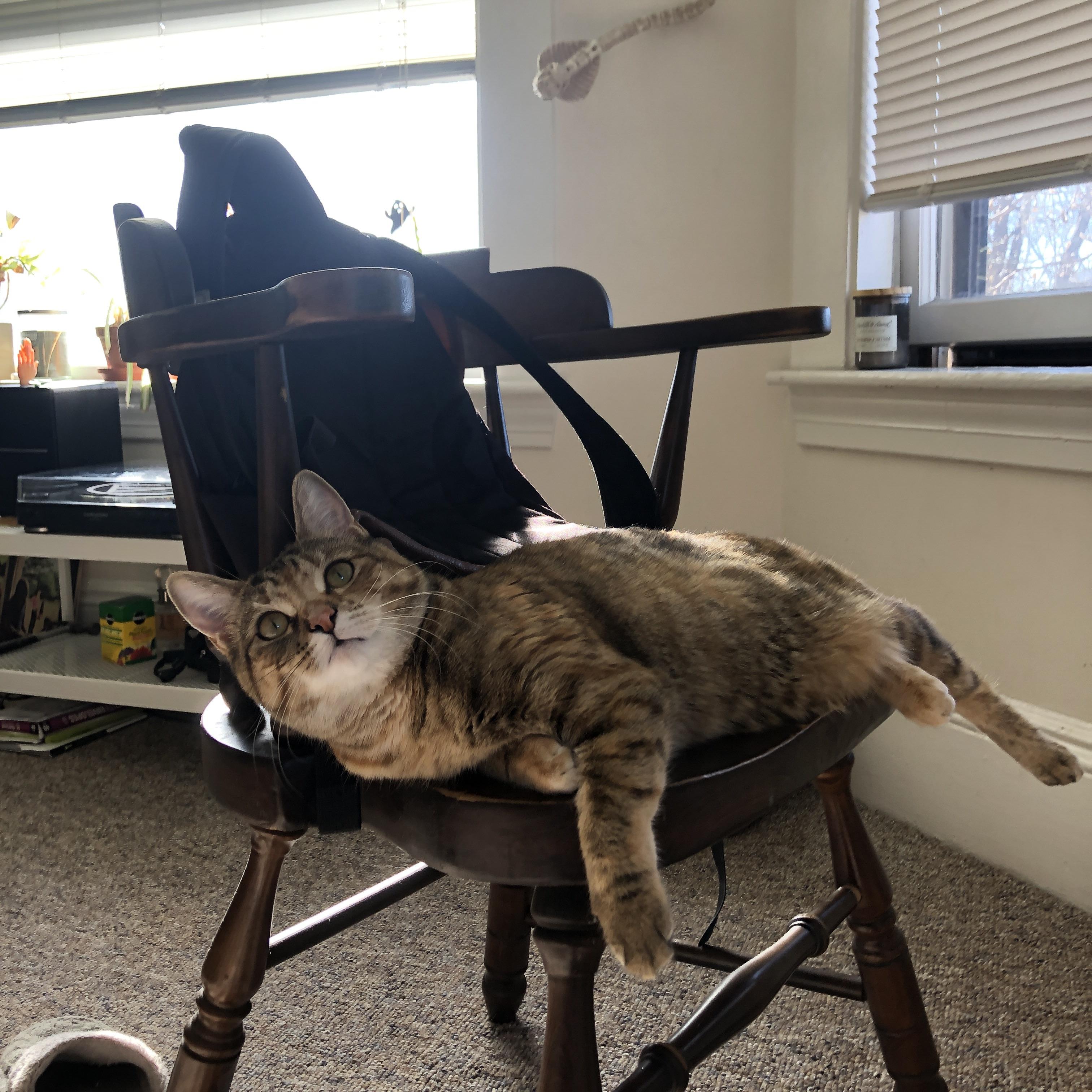 黄喜灿关键进球定乾坤,皇家社会友谊赛险胜丹麦