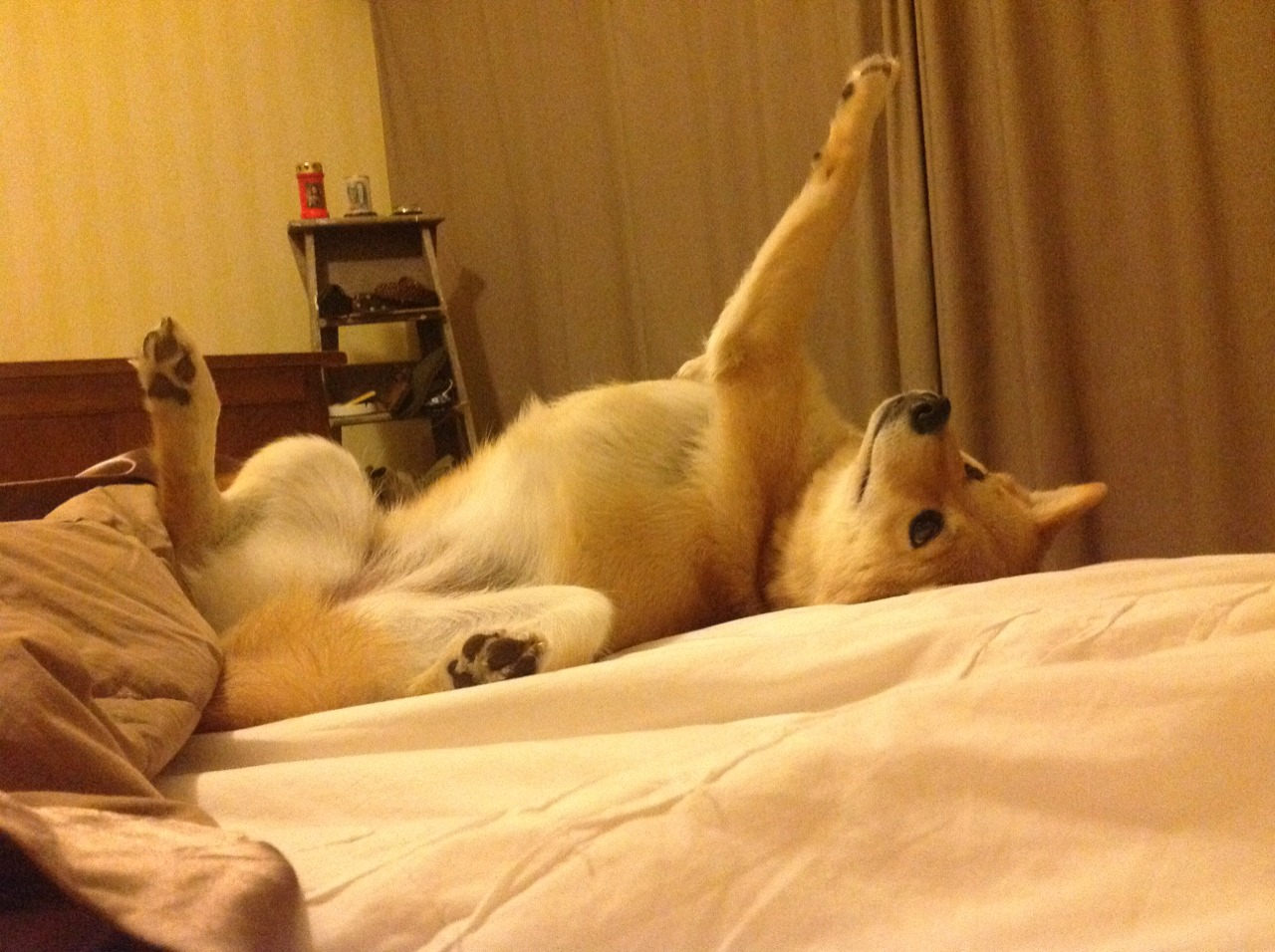 马克西魔幻之夜独砍40+10，活塞重拳出击击溃上海男篮！