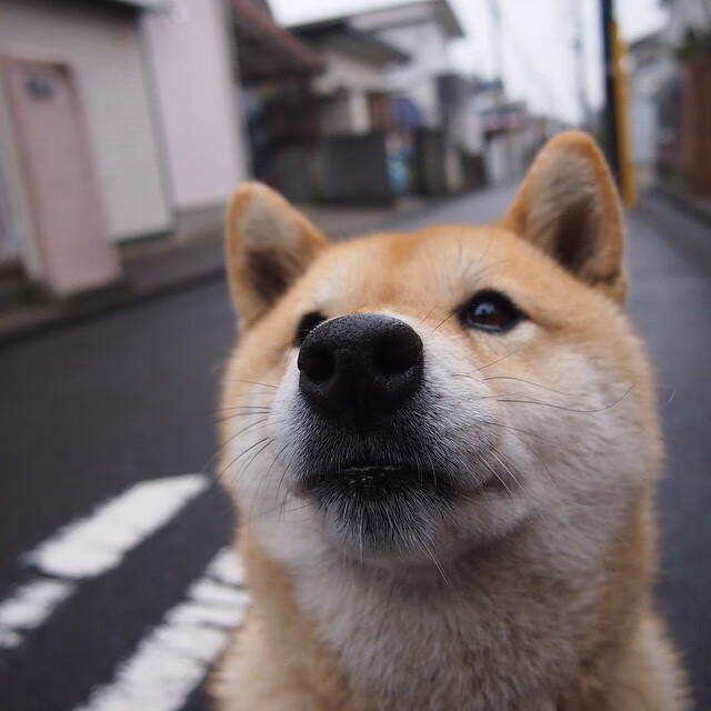 马克西导演浙江风暴,一役封神的完美一夜