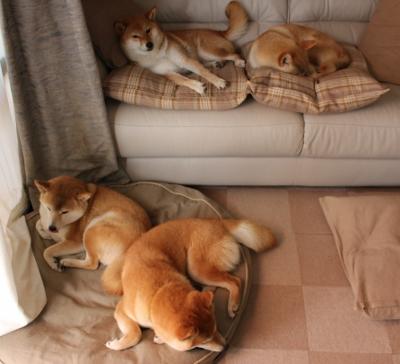 星光吞噬者,恩比德在年度焦点之夜的绝对主宰