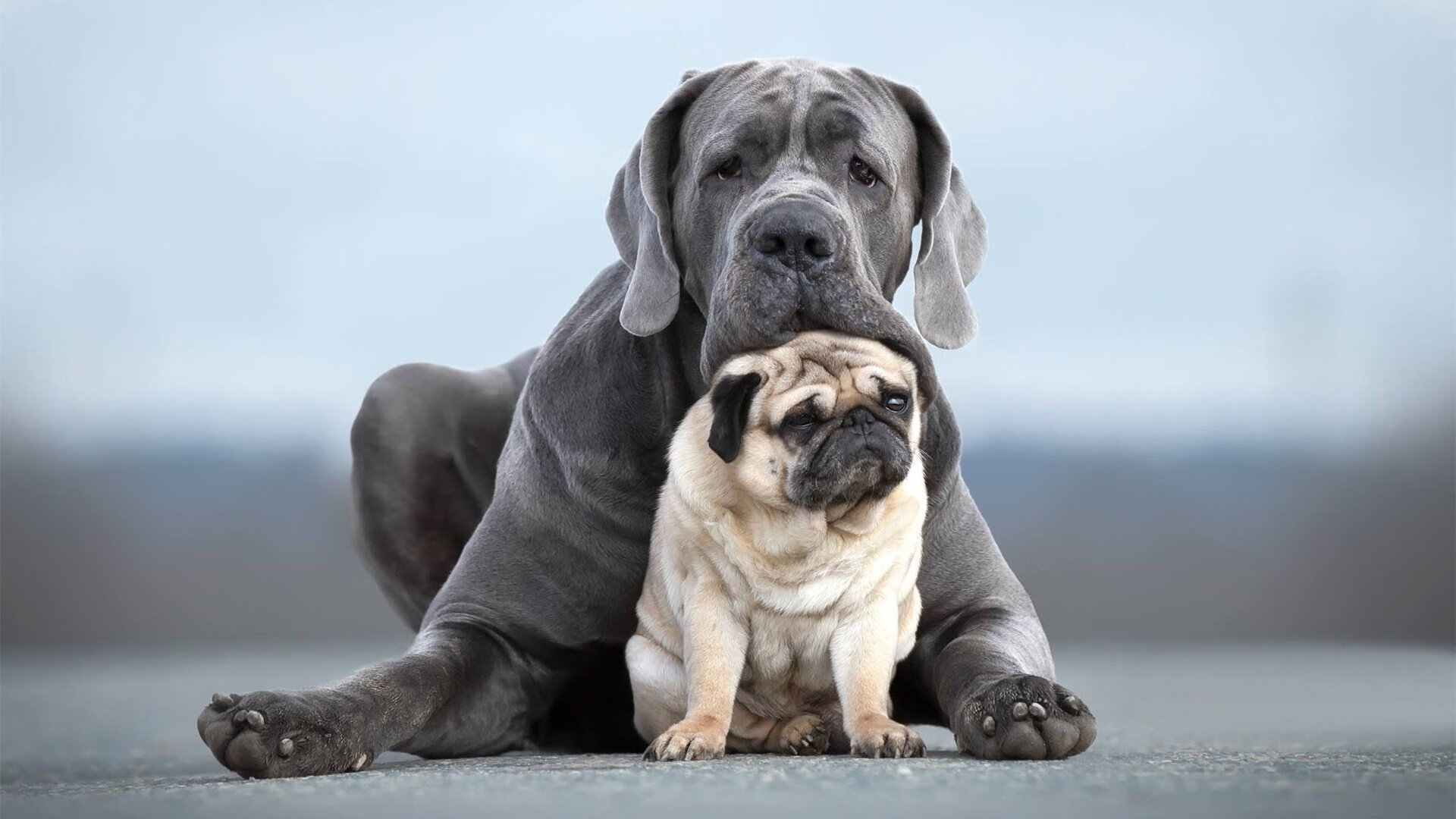 燃烧的疆域,布雷默在鏖战之夜铸就西决传奇