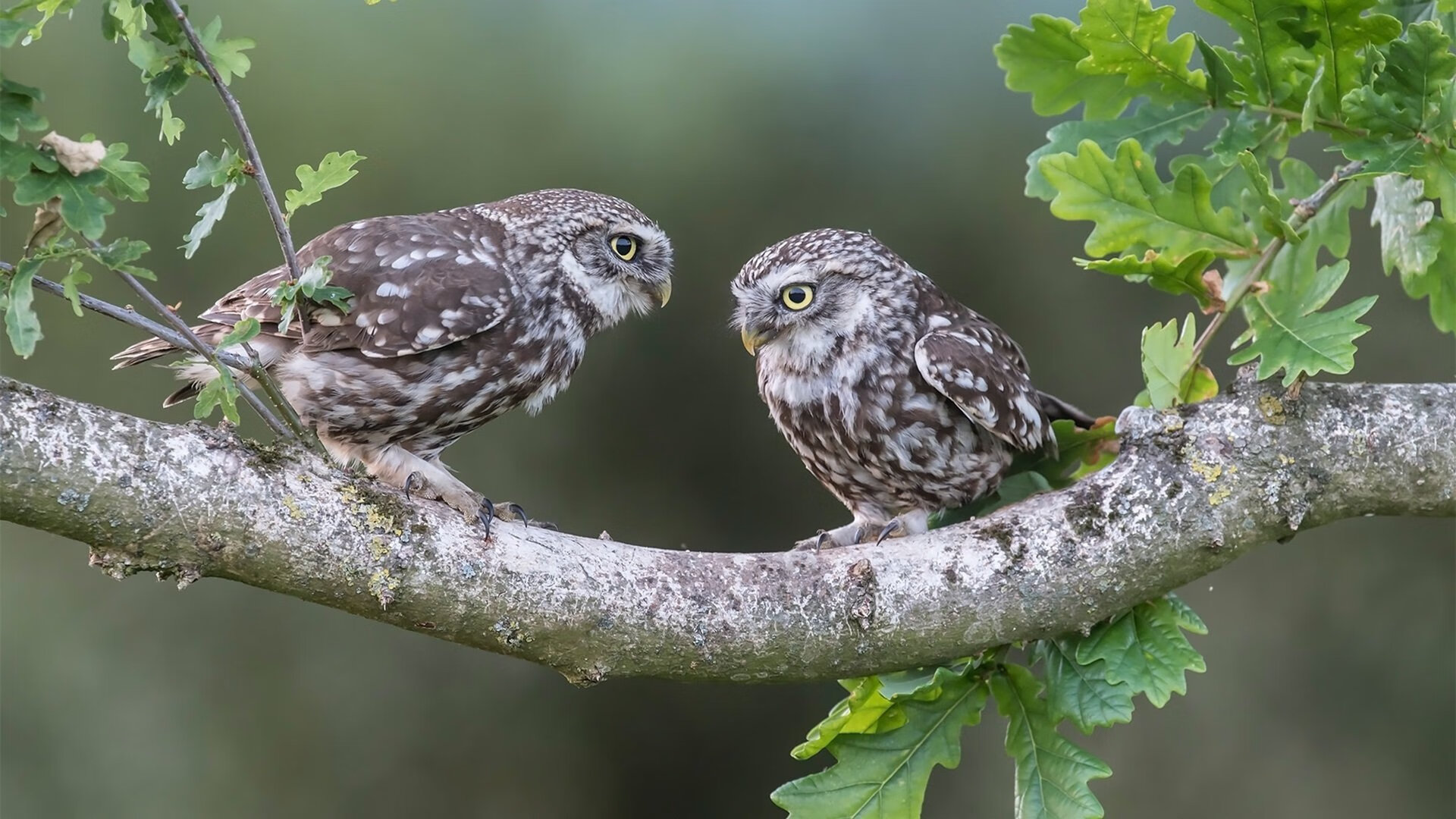在所有人的无声时刻,他举起了喧哗