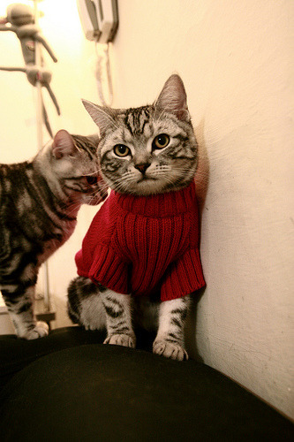 赛场上的错位启示录，当巴拉圭逆袭墨西哥，莫德里奇跨界接管东决