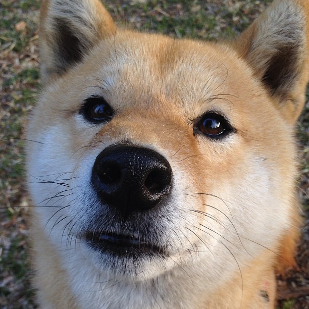 哥斯达黎加收割拜仁？C罗化身关键先生书写逆转传奇