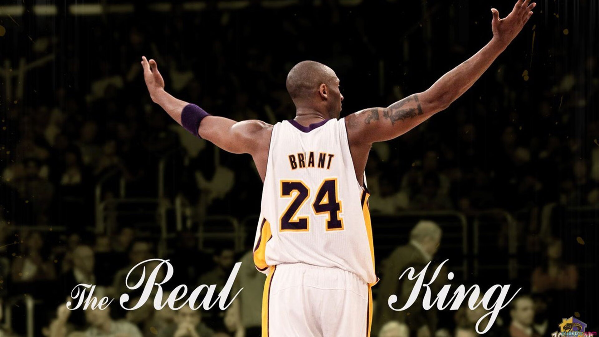 跨界焦点战，广厦队篮球思维粉碎步行者欧冠梦