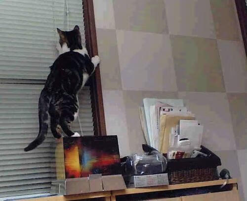 奥运周期关键战之夜，霍勒迪用硬汉逻辑诠释何为不手软