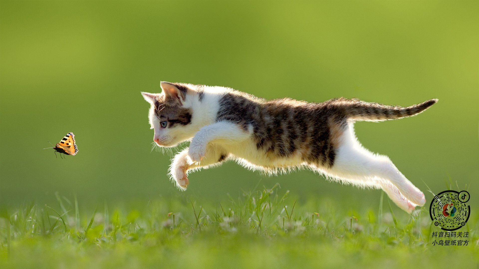 绝境救主！巴斯托尼闪电一击，喀麦隆惊涛骇浪中力克南非