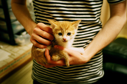 双星闪耀定乾坤，当克莱的弧线照亮骑士的征途