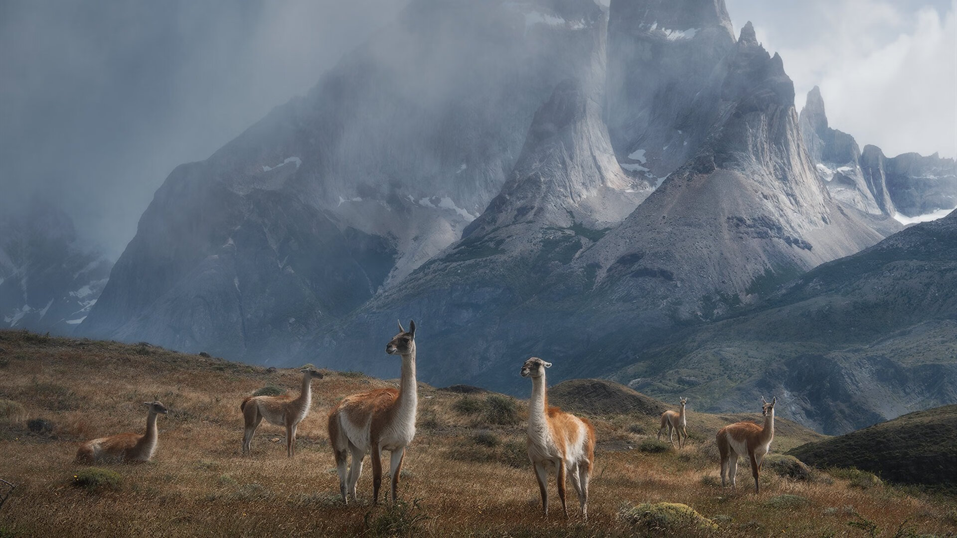 跨越15年的主宰,从邓肯的体系巨墙到杜兰特的死神镰刀