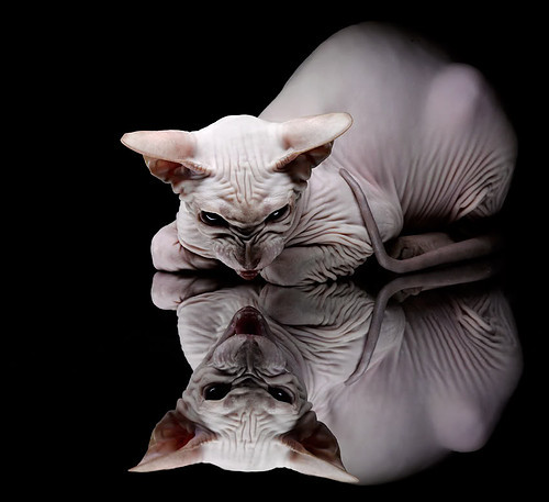 死神今夜降临,杜兰特西决生死战撕裂防线全纪实