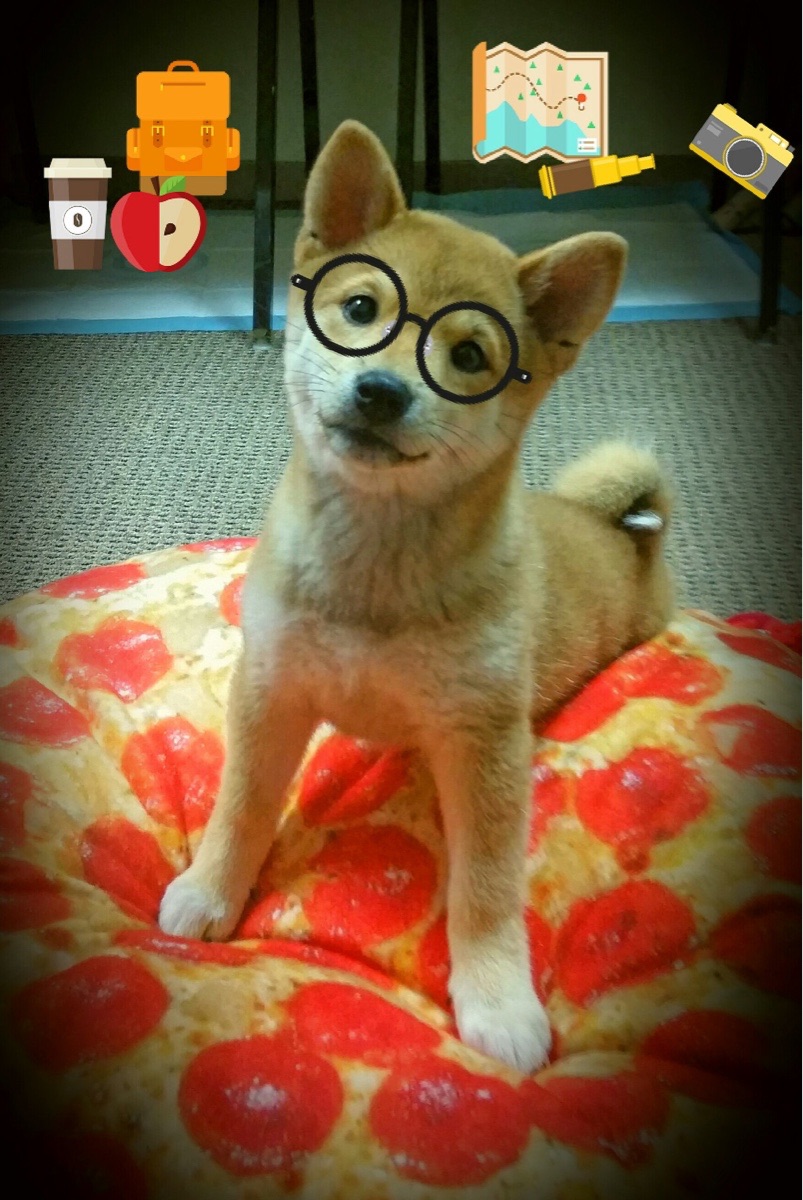 德罗赞末节天神下凡，北京队逆袭淘汰火箭队